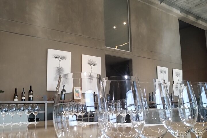 FULL DAY Wineries in Maipu and Lujan - EXCLUSIVE/PRIVATE VEHICLE