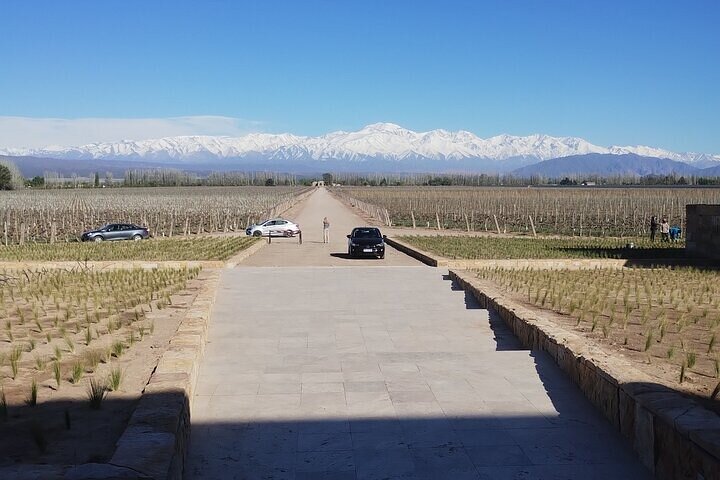 FULL DAY Wineries in Maipu and Lujan - EXCLUSIVE/PRIVATE VEHICLE