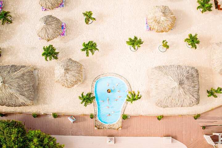 Aruba De Palm Island All Inclusive Day Trip with Transport