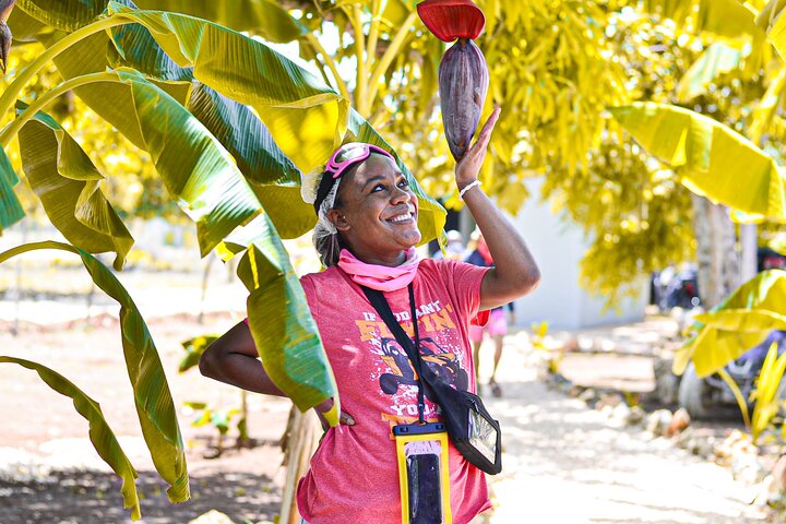 Punta Cana Buggy or ATV Tour with Macao Beach, Cave and Tastings