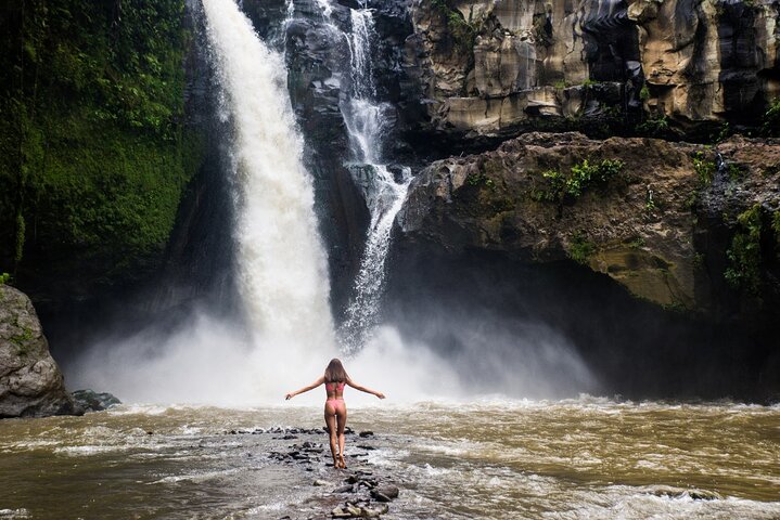Authentic Ubud Experience with French Speaking Guide