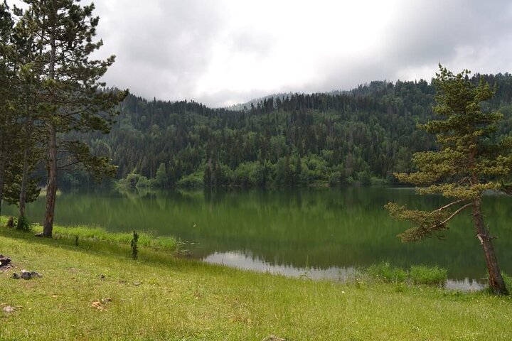 Jeep Tour in Dabadzveli mountain: Off-Road escape from Borjomi