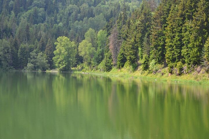 Jeep Tour in Dabadzveli mountain: Off-Road escape from Borjomi