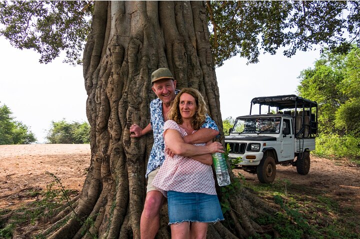 Private Jeep Safari at Minneriya National Park