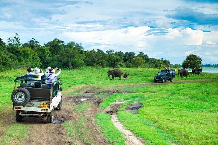 Private Jeep Safari at Minneriya National Park