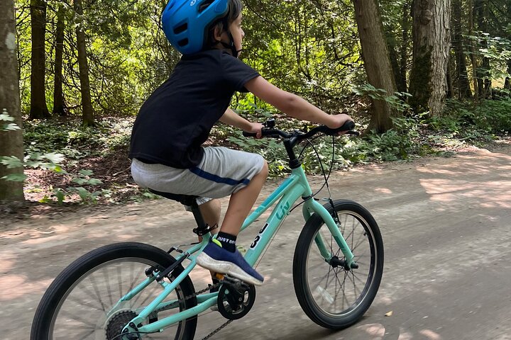 Guided Bike Tour of Mackinac Island with Scenic Views