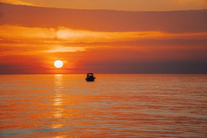 Medulin: 85% Dolphin Sunset Cruise, All-Inclusive & Face Painting