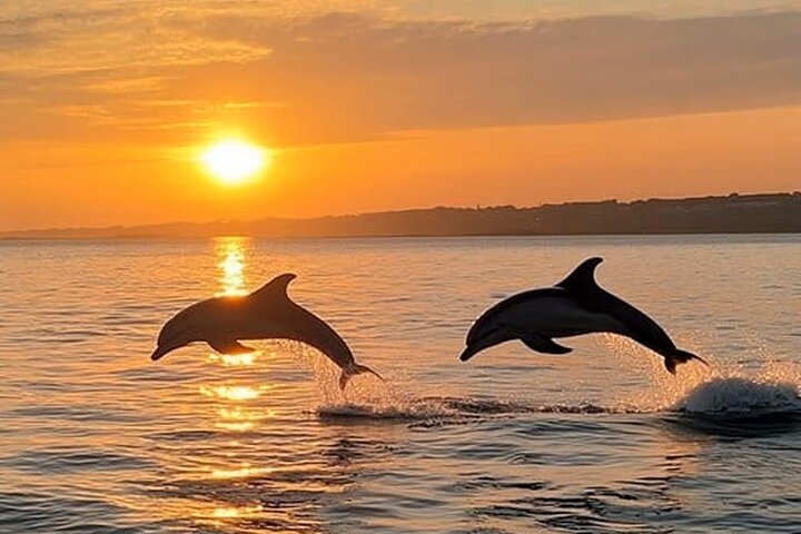 Medulin: 85% Dolphin Sunset Cruise, All-Inclusive & Face Painting