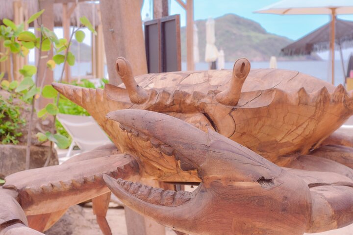 Mazatlan Shekinah Beach Club Experience