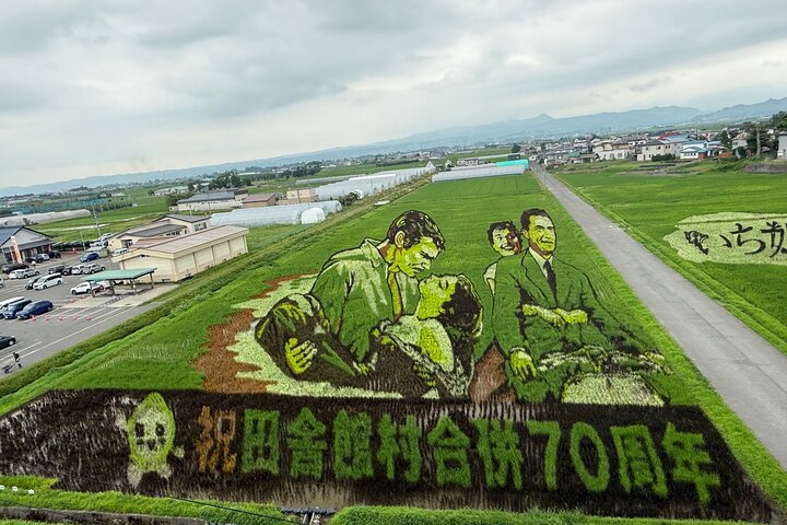 Rice Paddy Art and Apple Picking Full day Private Tour