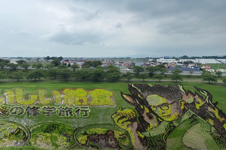 Rice Paddy Art and Apple Picking Full day Private Tour