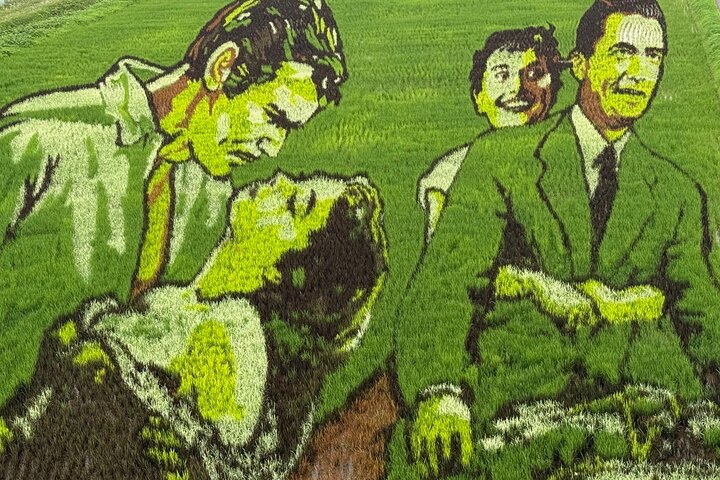 Rice Paddy Art and Apple Picking Full day Private Tour