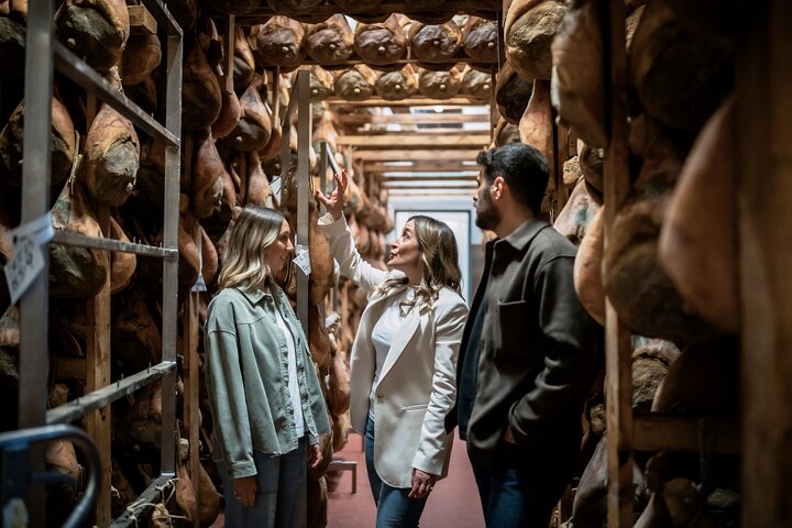 Half Day Private Parmigiano Reggiano and Parma Ham Experience