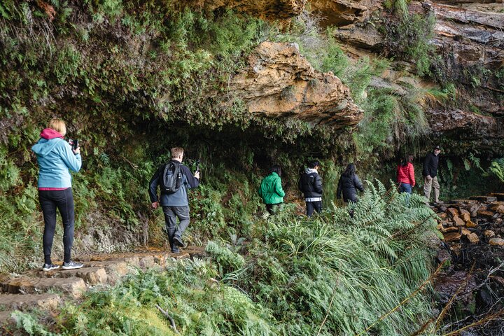 Blue Mountains Day Tour With Bushwalks, Waterfalls & Featherdale