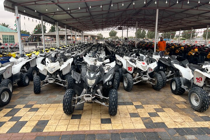 Dubai Desert Dune Buggy Adventure with Camel Ride Hotel Transfers