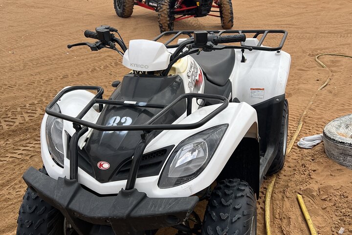 Dubai Desert Dune Buggy Adventure with Camel Ride Hotel Transfers