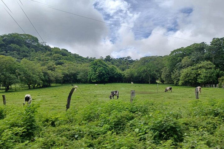 Punta Cacique ATV 4WD Jungle and Mountain Adventure in Costa Rica