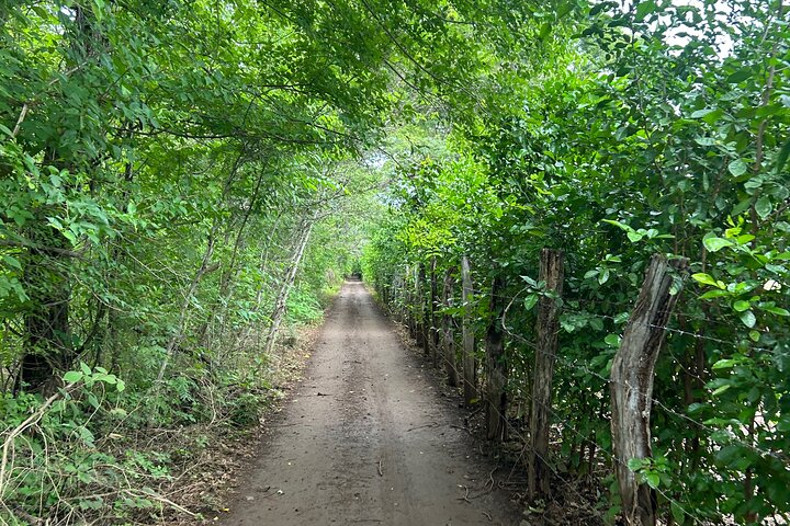 Punta Cacique ATV 4WD Jungle and Mountain Adventure in Costa Rica