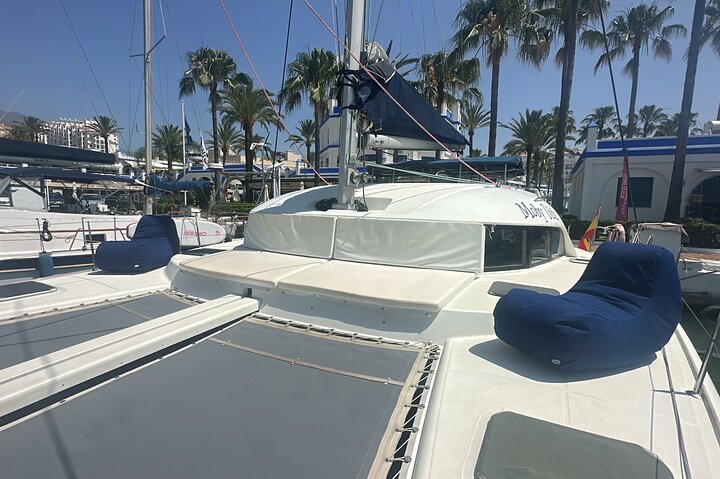 Dolphin trips on a catamaran