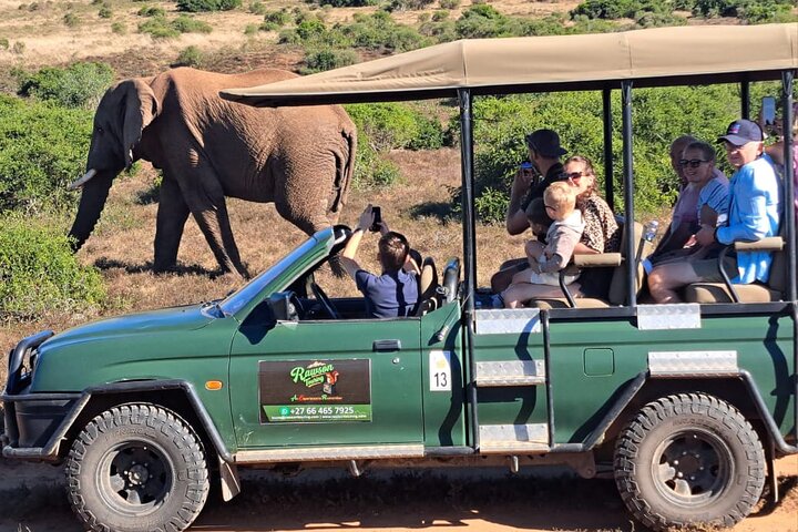 2 Day Schotia Safari Tour in Port Elizabeth