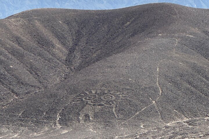 Private Transportation from Huacachina to Nasca