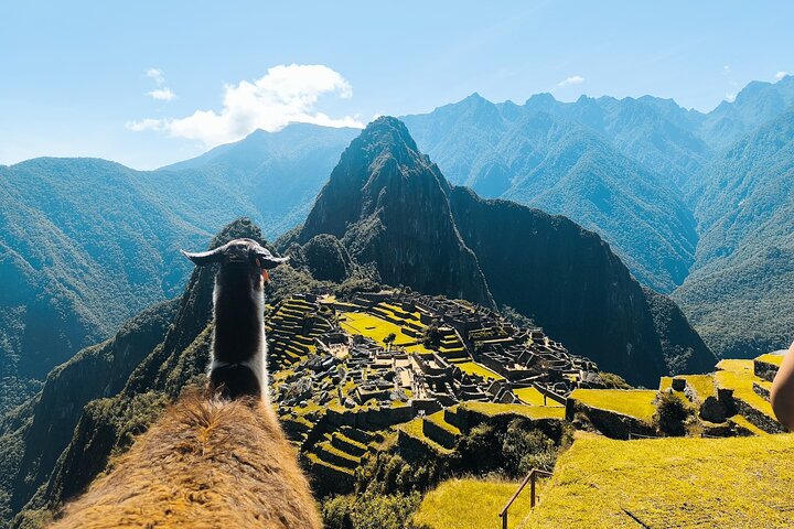 Private Guide and Photographs in MachuPicchu