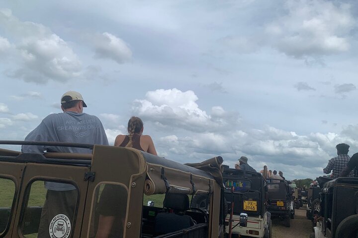Private Polonnaruwa Ruins & Minneriya Safari Tour from Sigiriya