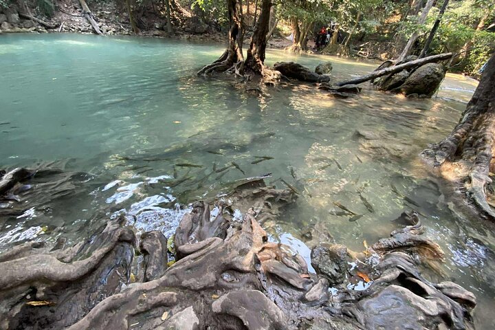 Kanchanaburi Erawan Waterfall and Train Along Death Railway Tour