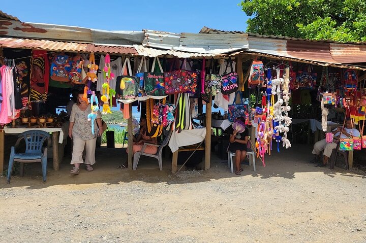 Roatan Wildlife Monkeys,Sloths, chocolate Rum tasting Island Tour