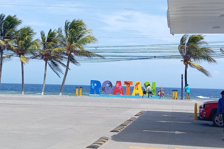 Roatan Wildlife Monkeys,Sloths, chocolate Rum tasting Island Tour