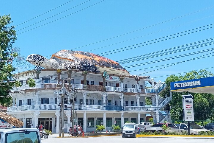 Roatan Wildlife Monkeys,Sloths, chocolate Rum tasting Island Tour