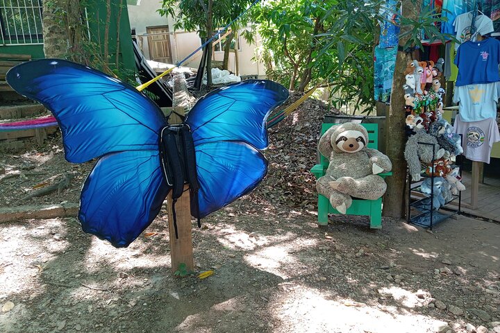 Roatan Wildlife Monkeys,Sloths, chocolate Rum tasting Island Tour