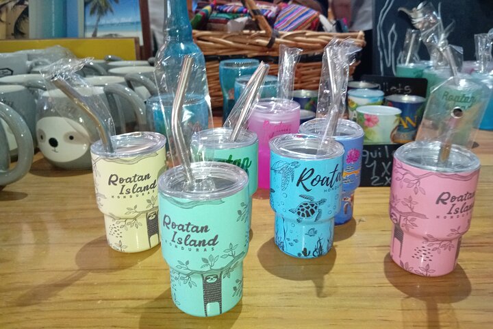 Roatan Wildlife Monkeys,Sloths, chocolate Rum tasting Island Tour