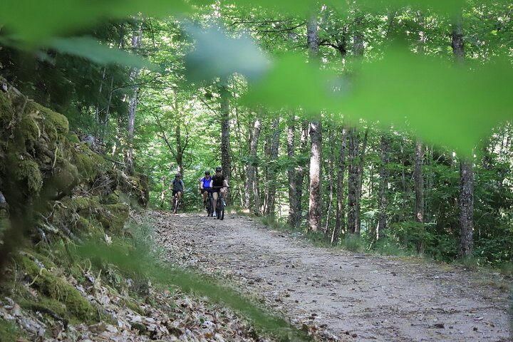 Private E-bike tour in Serra da Estrela. Guided or Auto Guided
