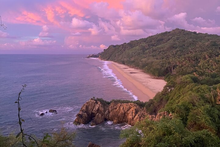 Biocultural Hiking Experience in Sayulita
