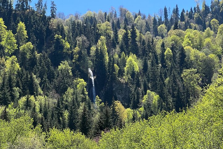 Jeep Tour in Dabadzveli mountain: Off-Road escape from Borjomi