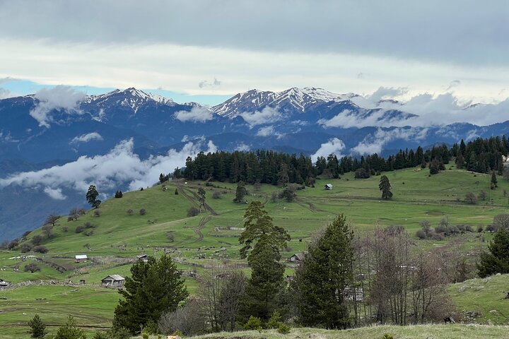 Jeep Tour in Dabadzveli mountain: Off-Road escape from Borjomi