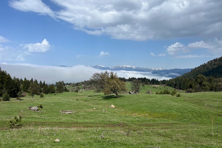Jeep Tour in Dabadzveli mountain: Off-Road escape from Borjomi