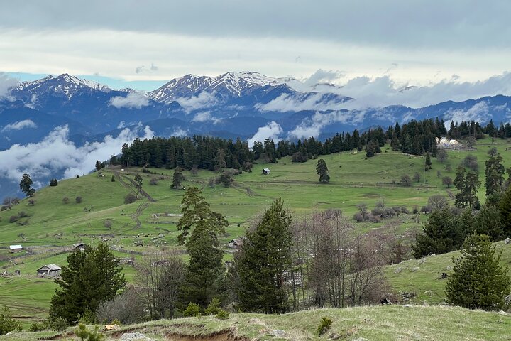 Jeep Tour in Dabadzveli mountain: Off-Road escape from Borjomi