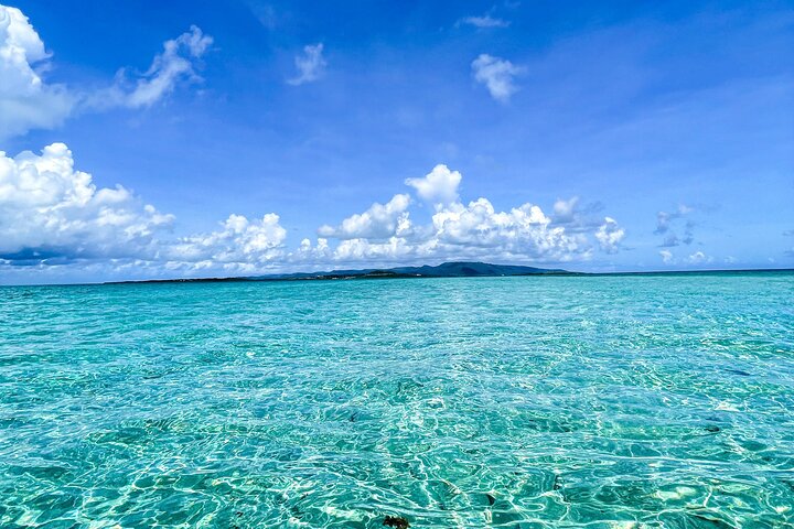 Fishing experience on a private small boat on Ishigaki Island - Meet empty-handed!Fish.Let's eat.~ 【1 day course】