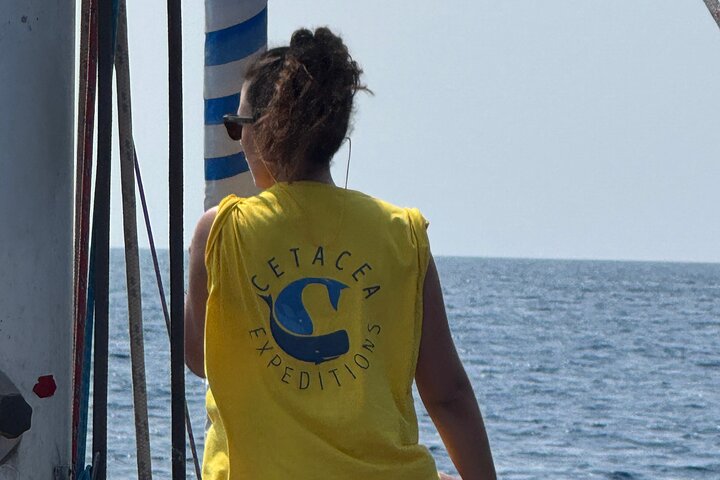 Vela and Wine Experience a Vulcano Aeolian Islands