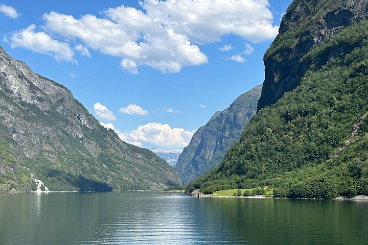 Guided Tour To Nærøyfjorden, Flåm And Stegastein - Viewpoint Cruise