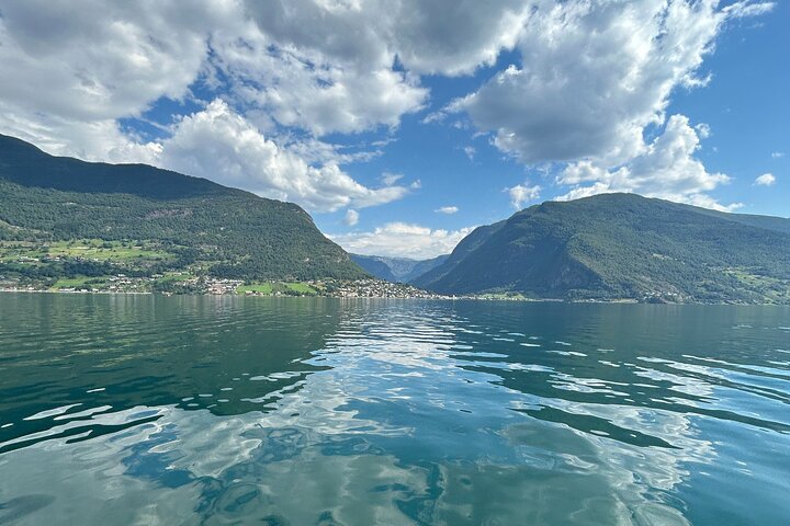 Guided Tour To Nærøyfjorden, Flåm And Stegastein - Viewpoint Cruise