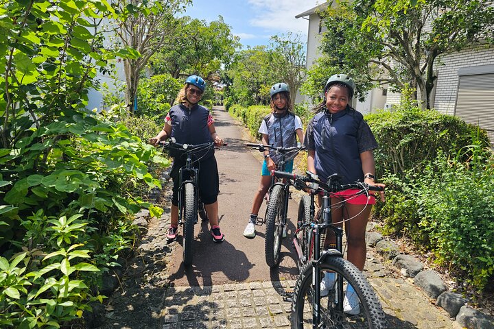 Mt. Fuji Private Guided E-Bike Tour : Fuji City