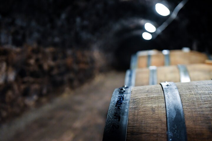 Tokaj Vineyard Tour Wine Tasting and Cellar Visit