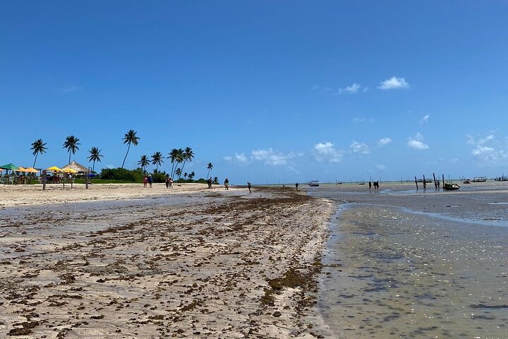 São Miguel dos Milagres (with H3 TURISMO)