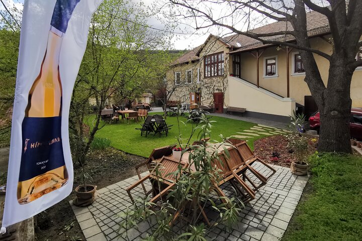 Tokaj Vineyard Tour Wine Tasting and Cellar Visit