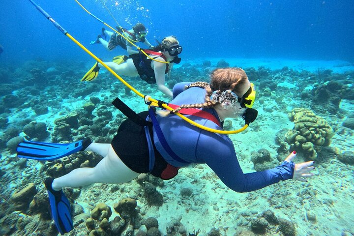 Curacao Sea Trek Snuba Combo Walk Tour and Dive the Ocean