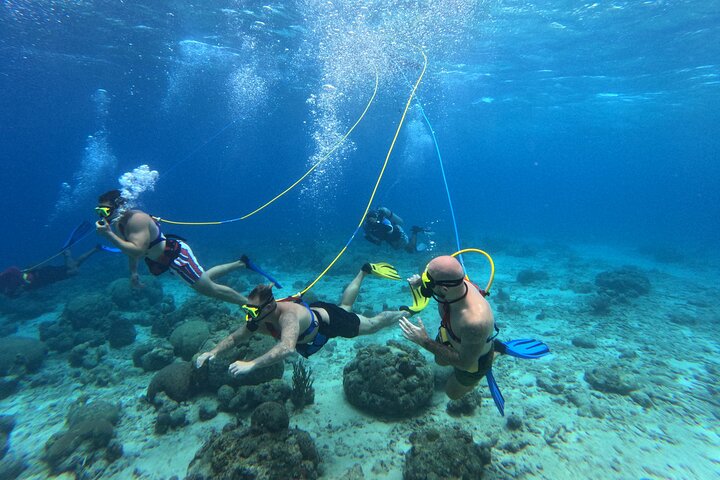 Curacao Sea Trek Snuba Combo Walk Tour and Dive the Ocean