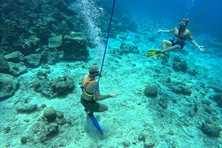 Curacao Sea Trek Snuba Combo Walk Tour and Dive the Ocean